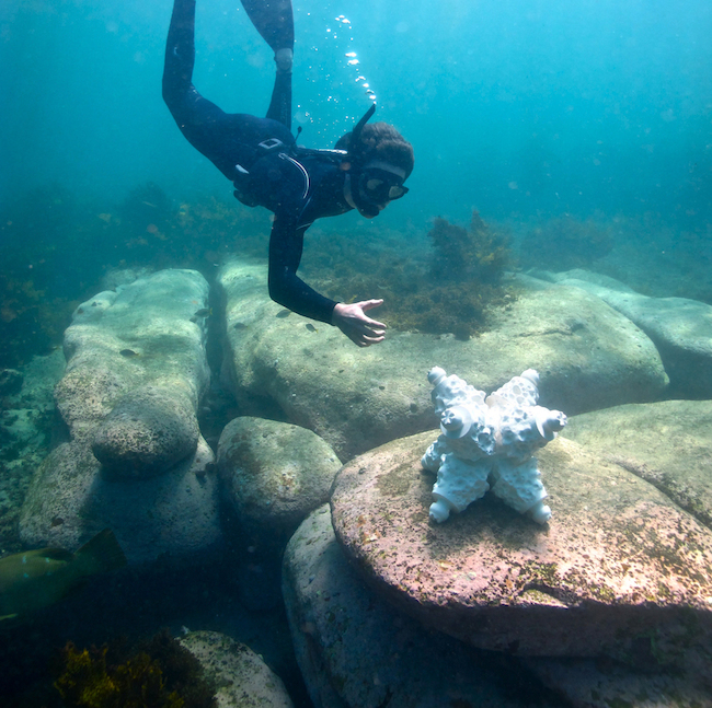 Technology | Australian Designer Repairs Coral Ecosystems with Ceramics