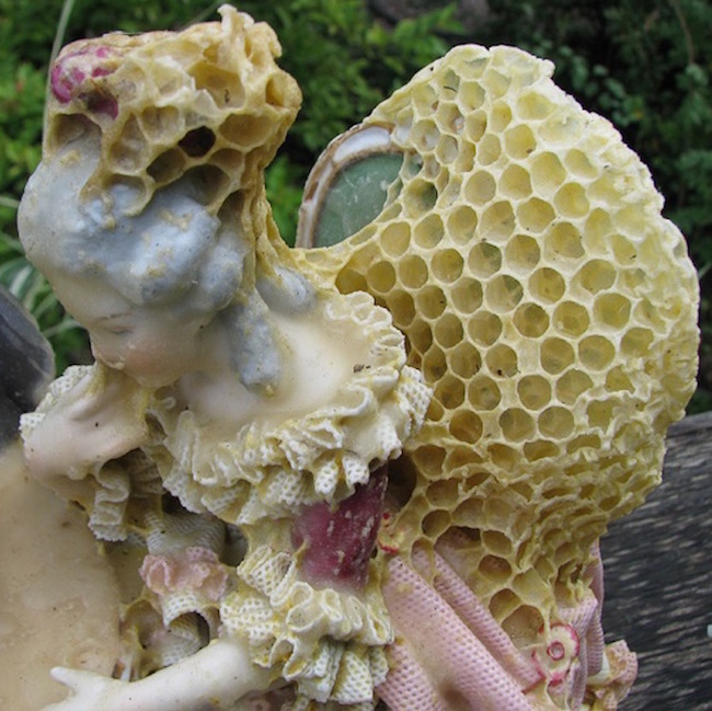 Oddity | Aganetha Dyck Coaxes Bees to Mend Broken Ceramics