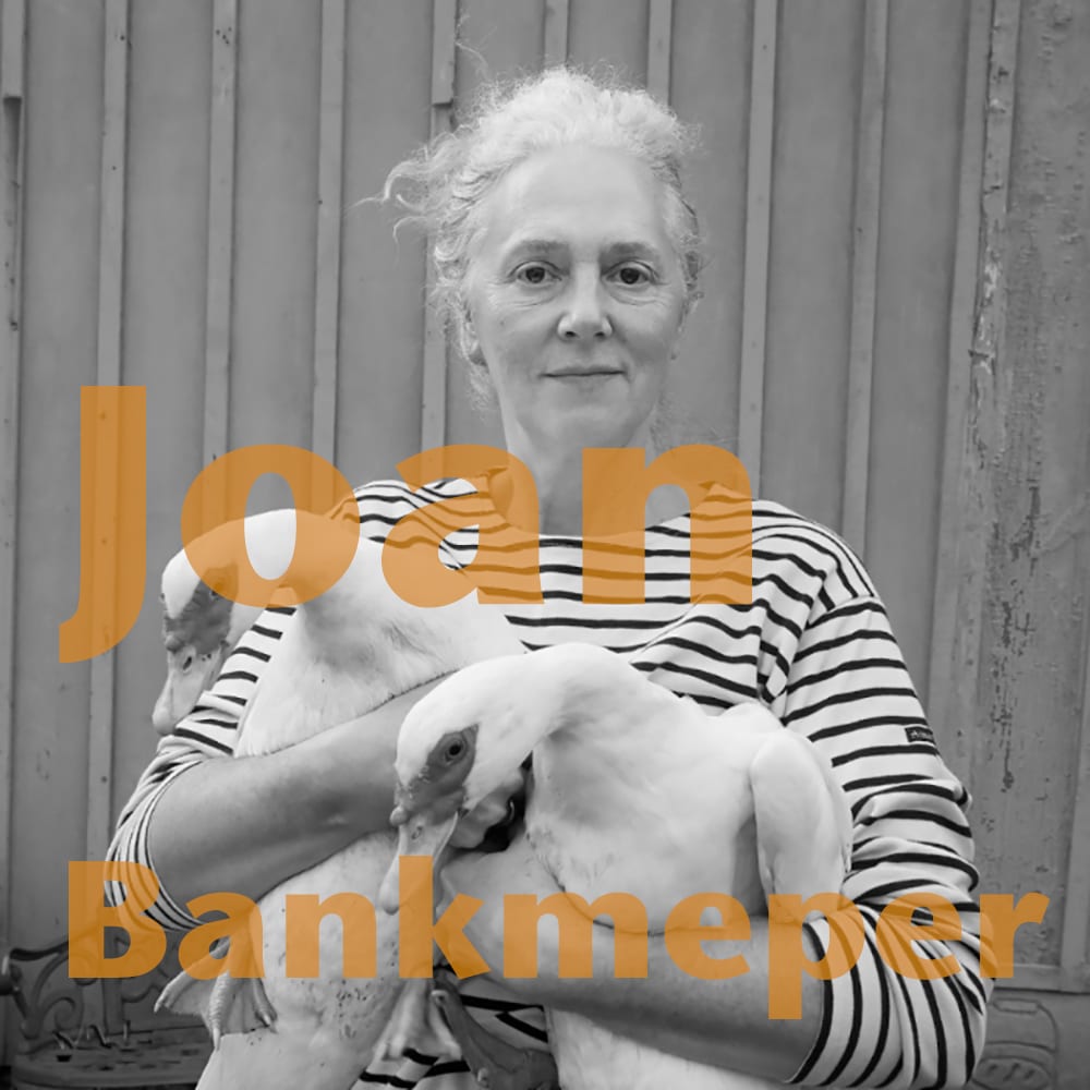 Podcast | New Episode! Joan Bankemper and Garth talk Birds + Bees